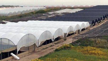 PRISMA 30 Spataro|PRISMA 80 Marangoni|arrigoni-termoreflectantes